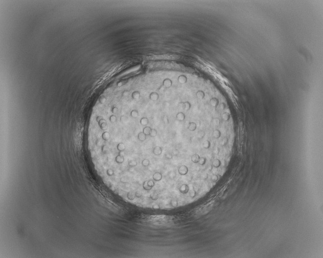 X0000115390153200912151507