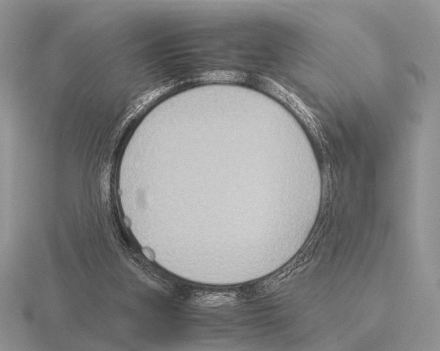 X0000115390155200912151507