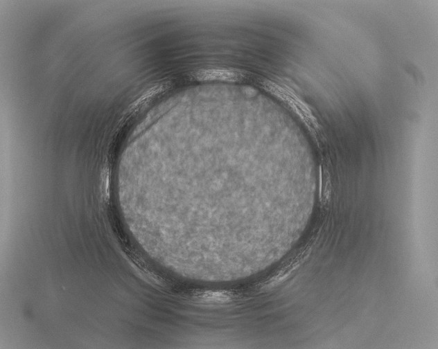 X0000115390157200912151507