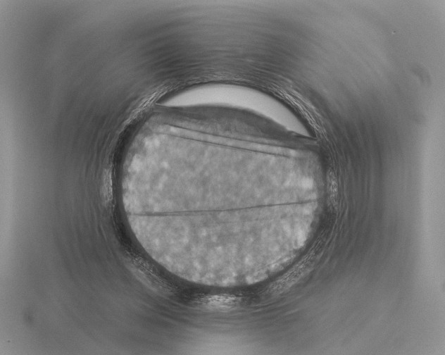 X0000115390158200912151507