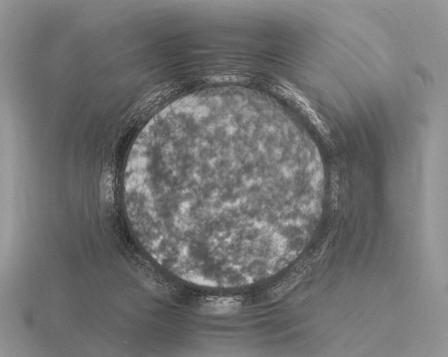 X0000115390161200912151507