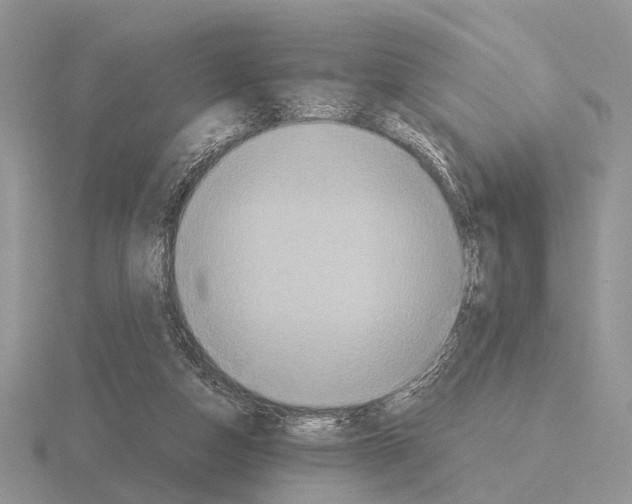 X0000115390162200912151507