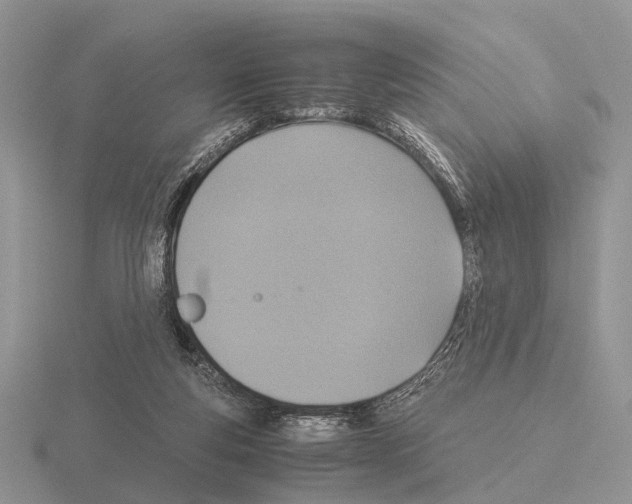 X0000115390163200912151507