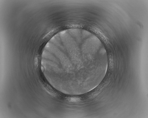 X0000115390165200912151507