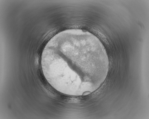 X0000115390166200912151507