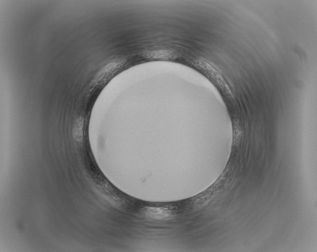 X0000115390167200912151507