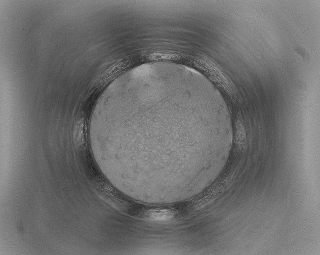 X0000115390169200912151507