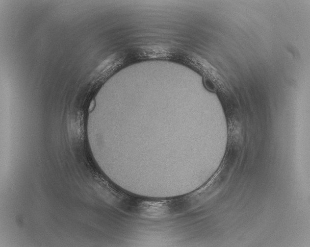 X0000115390170200912151507