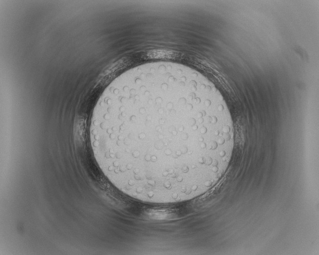 X0000115390171200912151507