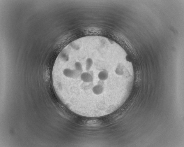 X0000115390173200912151507