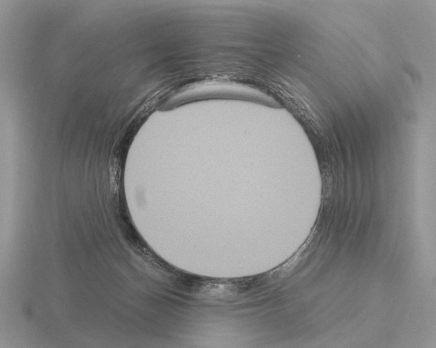 X0000115390174200912151507