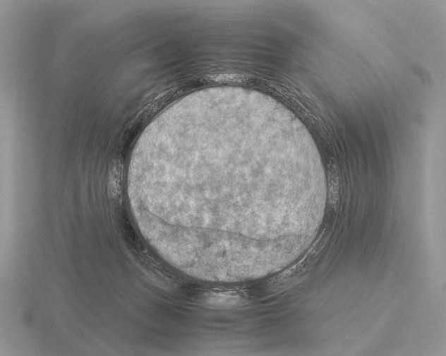 X0000115390175200912151507