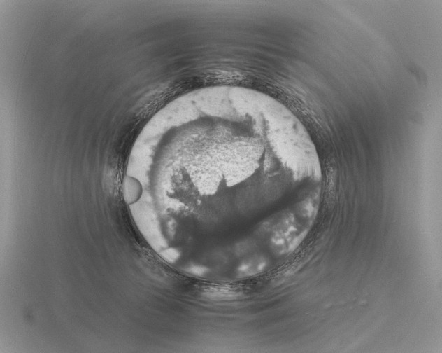 X0000115390177200912151507