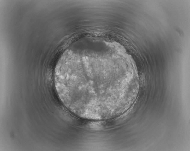 X0000115390178200912151507