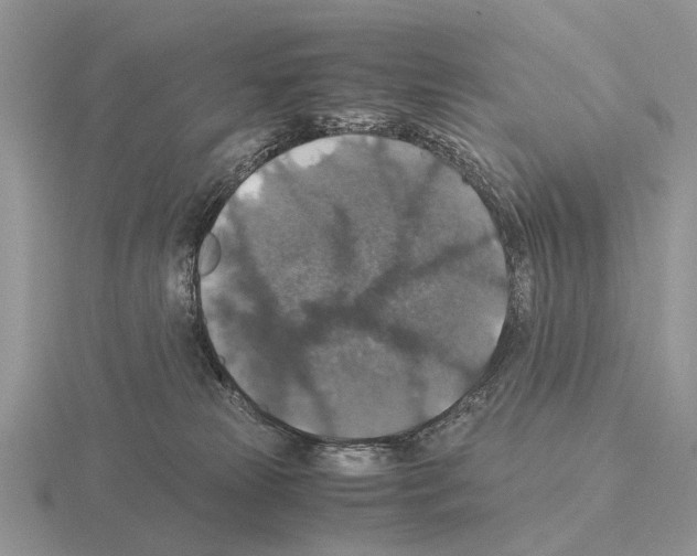 X0000115390181200912151507