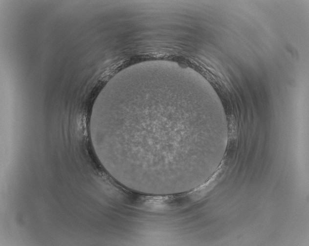 X0000115390182200912151507