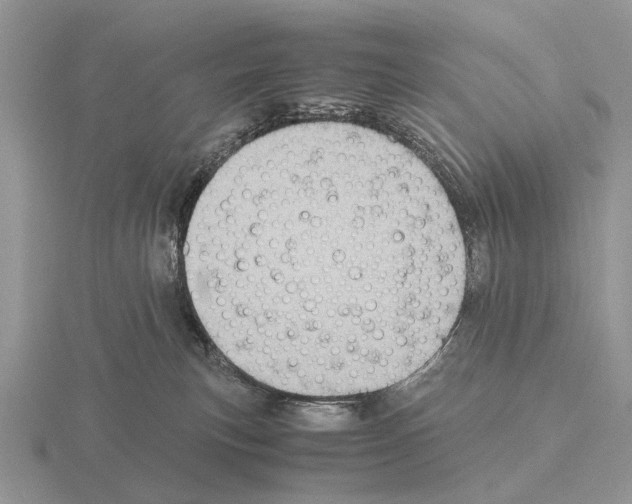 X0000115390183200912151507