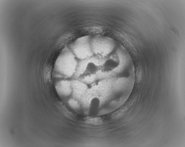 X0000115390185200912151507