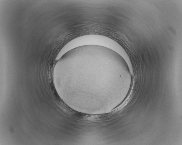 X0000115390186200912151507