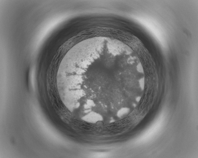 X0000115390189200912151507