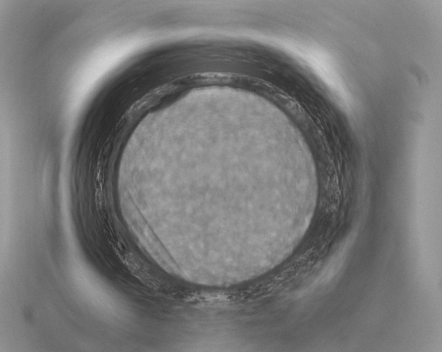 X0000115390194200912151506