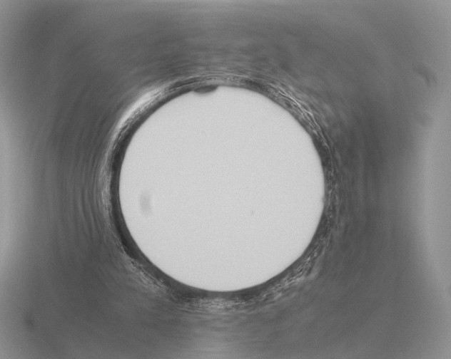 X0000115390197200912151506