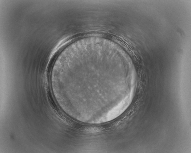 X0000115390198200912151506