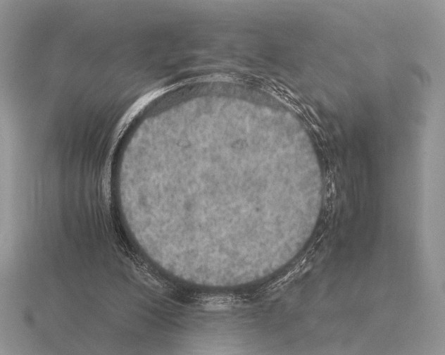 X0000115390200200912151506