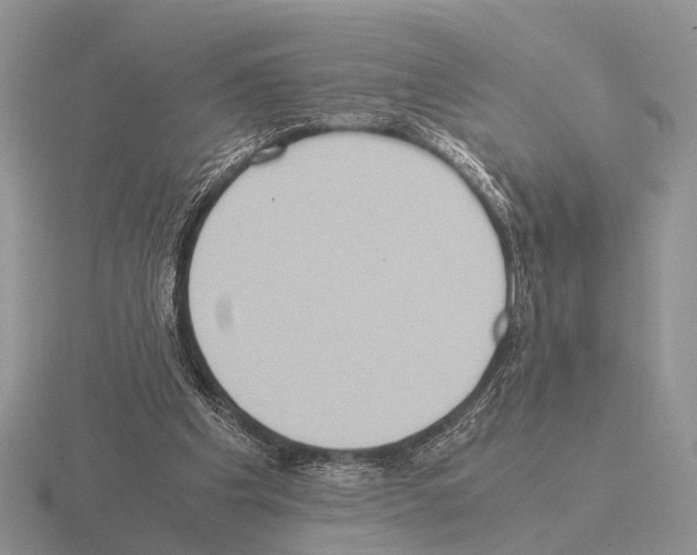 X0000115390201200912151506