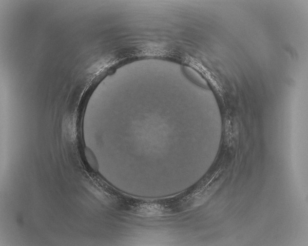 X0000115390203200912151506