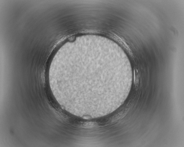 X0000115390204200912151506