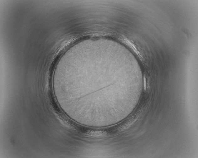 X0000115390205200912151506