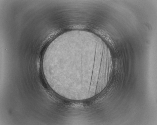 X0000115390206200912151506