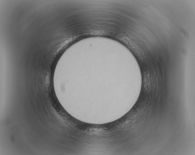 X0000115390208200912151506