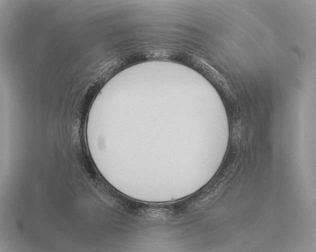 X0000115390209200912151506