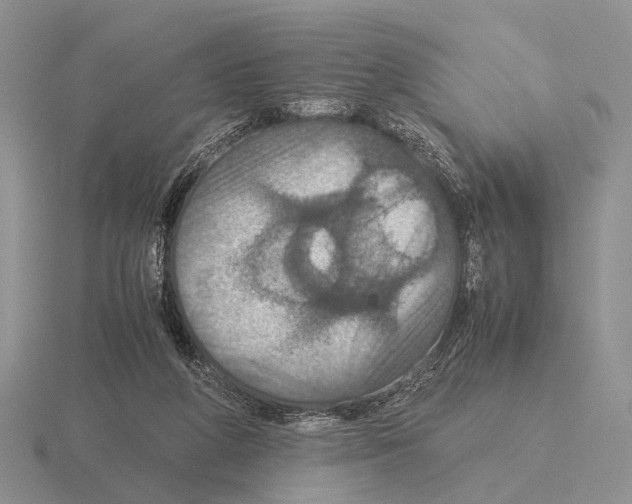 X0000115390210200912151506