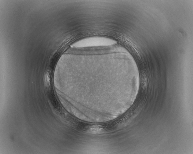 X0000115390214200912151506