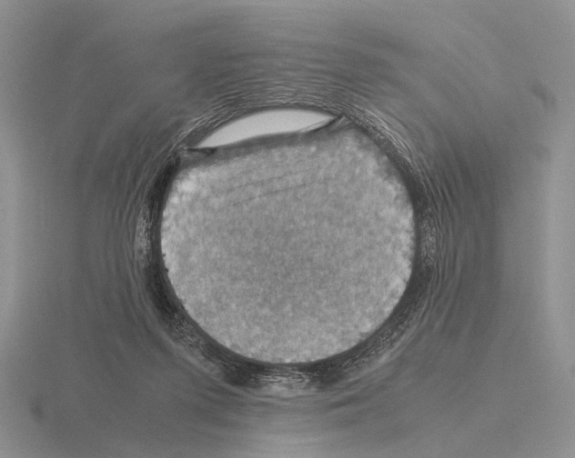 X0000115390215200912151506