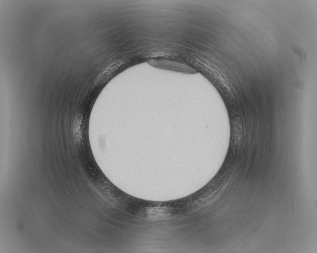 X0000115390216200912151506