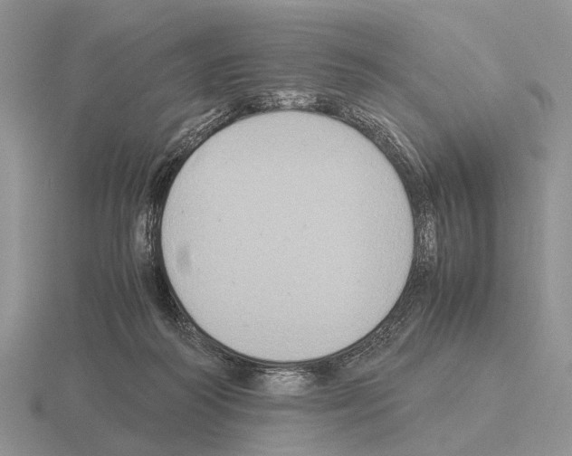 X0000115390218200912151506