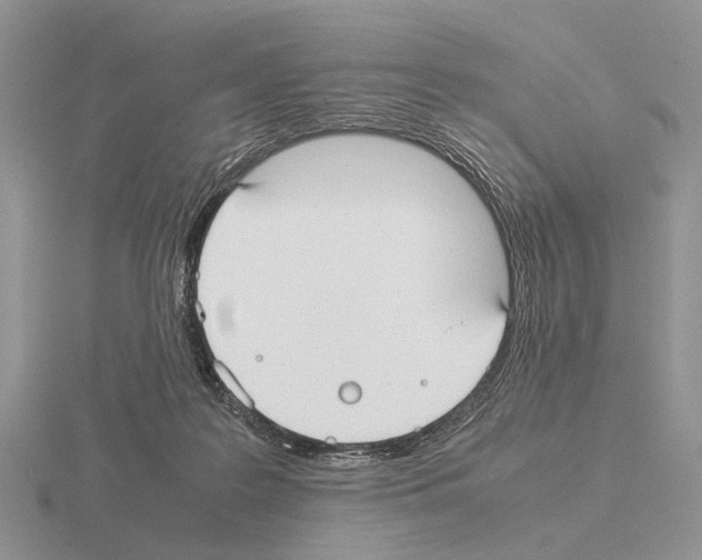 X0000115390219200912151506