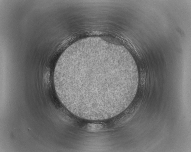 X0000115390220200912151506