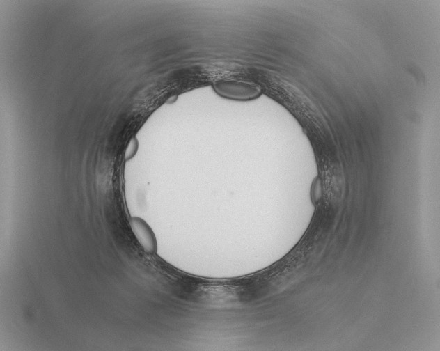 X0000115390221200912151506