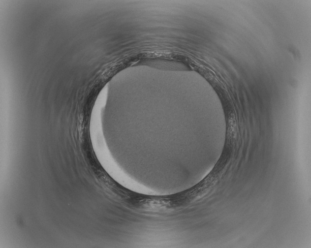 X0000115390223200912151506