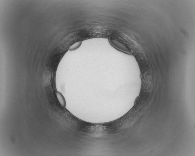 X0000115390225200912151506