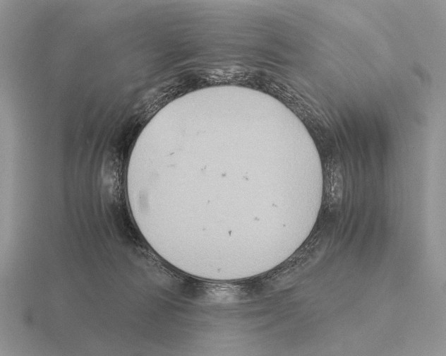 X0000115390226200912151506