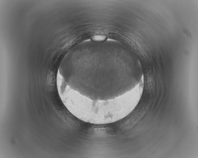 X0000115390228200912151506