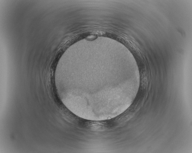 X0000115390229200912151506