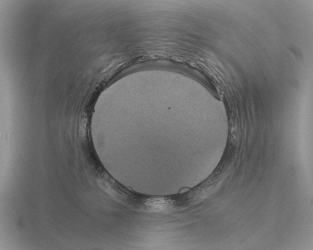 X0000115390231200912151506