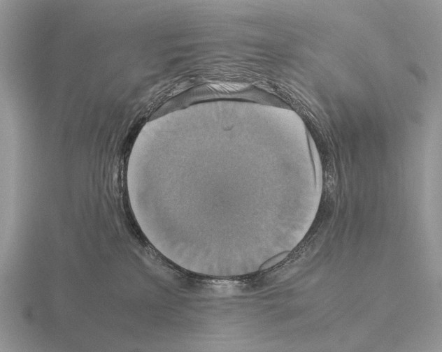 X0000115390233200912151506